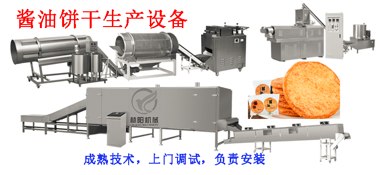 济南林阳LY65-III酱油饼设备酱油饼生产线