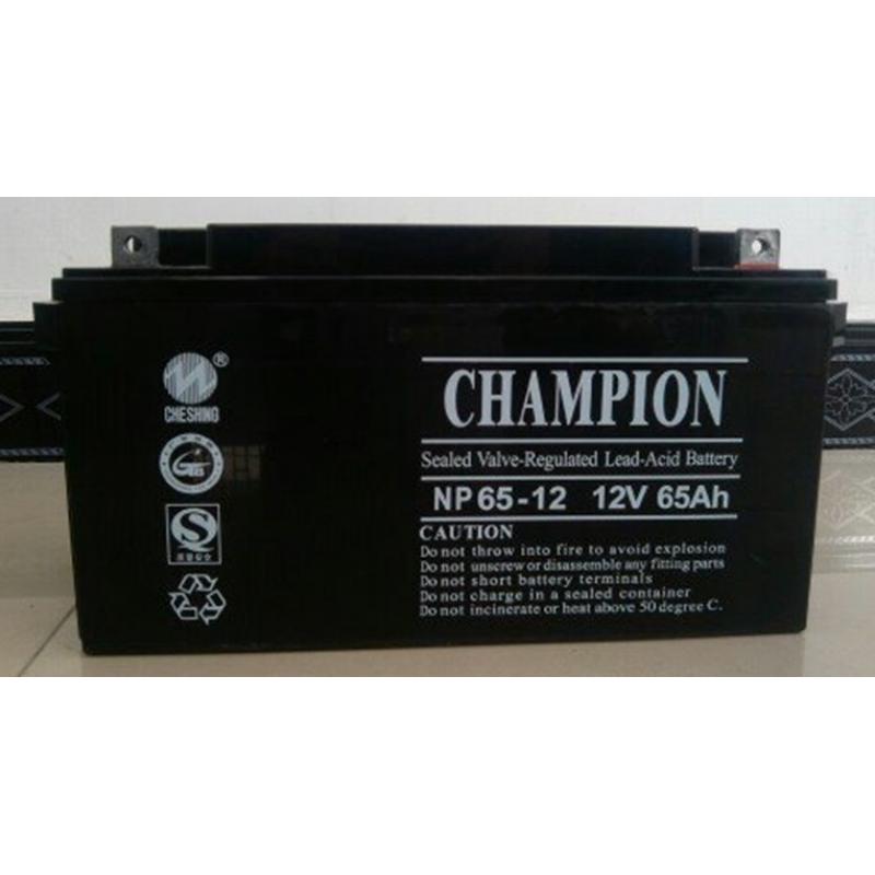 代理冠军蓄电池2V800AH