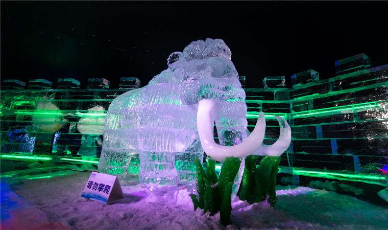杭州冰雕设计