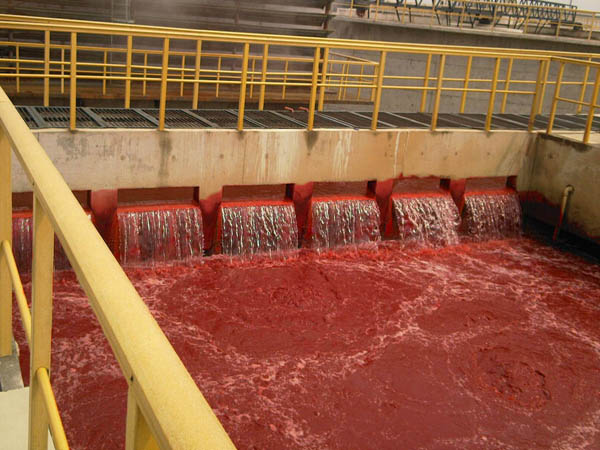 安徽食品废水处理厂 值得信赖 无锡绿禾盛环保科技供应