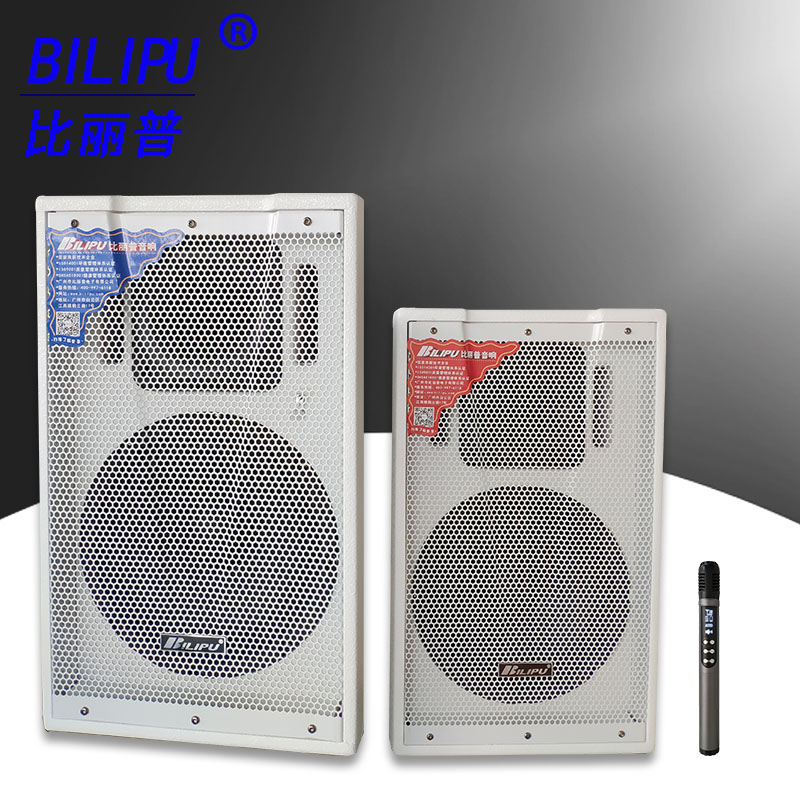 比丽普厂家供应2.0有源音箱BLP-115背景音乐音响可OEM