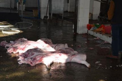 乌兰察布杀猪场污水处理设备价格