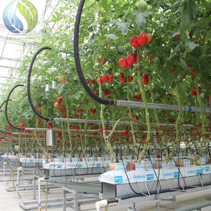 温室大棚农用采摘车 比利时荷兰进口 温室玻璃大棚专用