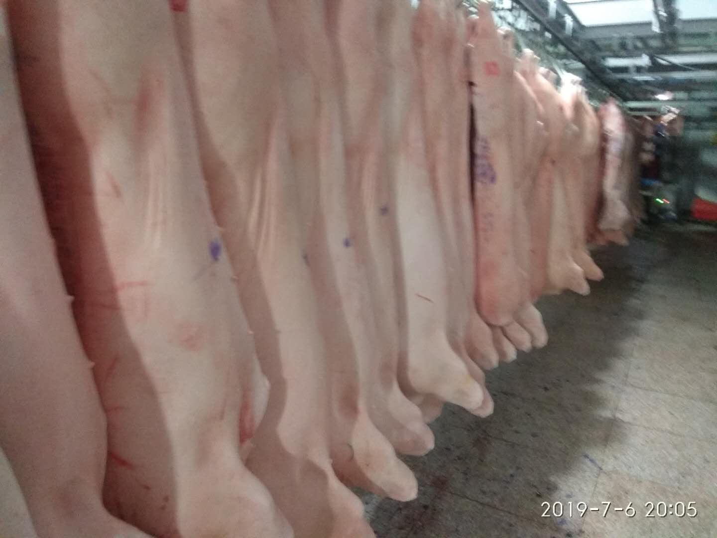 生猪猪肉制品销售