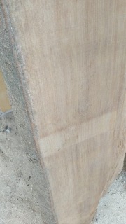榉木毛边板，等级AB级，俄罗斯进口木材，直接从俄罗斯工厂订购