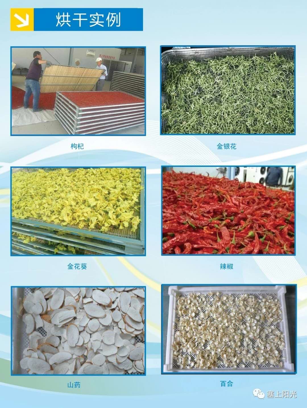 塞上阳光提供优质黄花菜2000吨，欢迎求购！