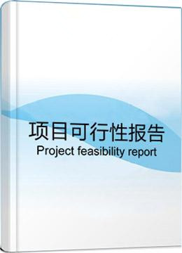 广州可行性报告代写本地公司/代写可行性报告