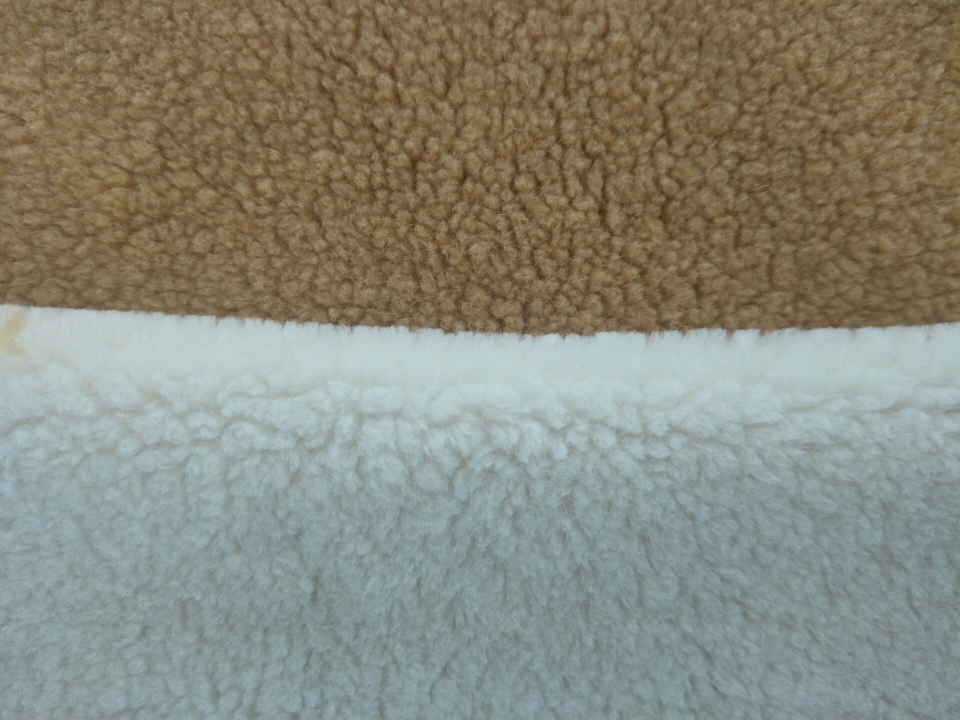 厂家生产供应30颗粒羊毛服装面料 颗粒羊驼绒羊羔绒
