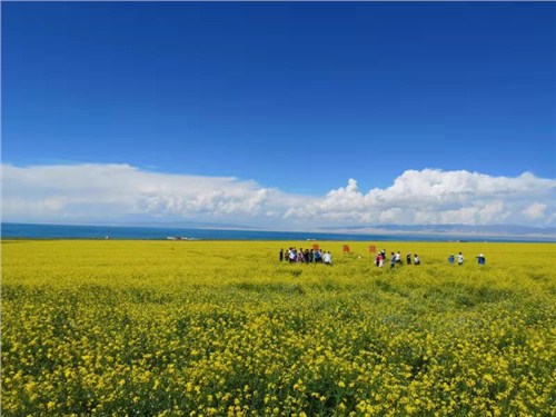 青海湖自由行旅游推荐 海东润青国际旅行社供应