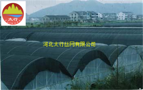 肇庆4针防晒网