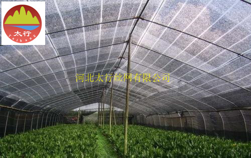 惠州4针遮光网