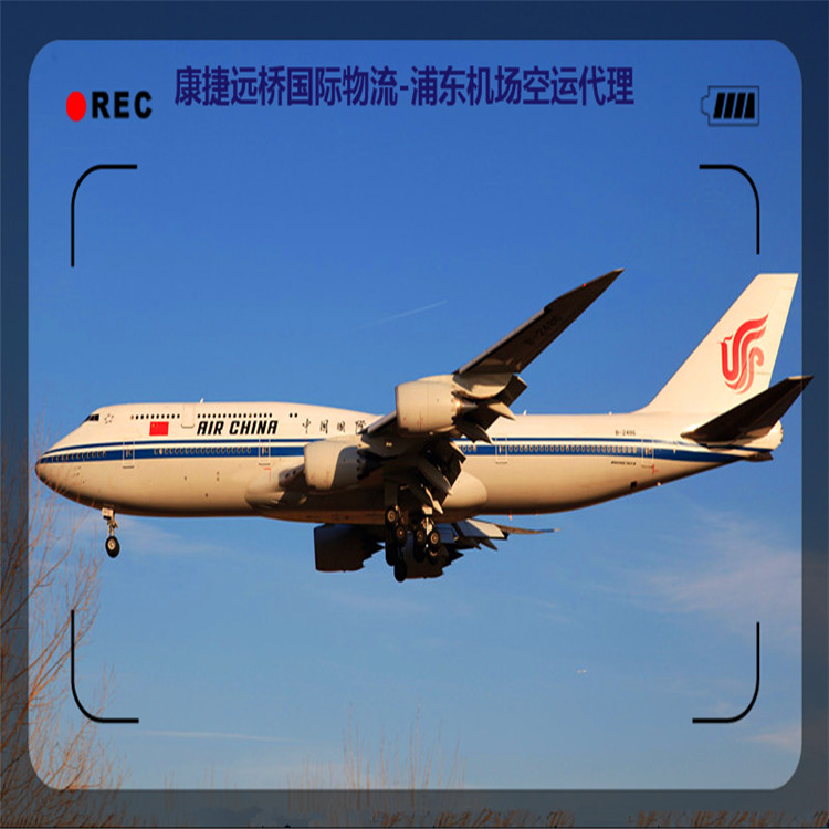 上海到法国空运公司 上海空运进口代理