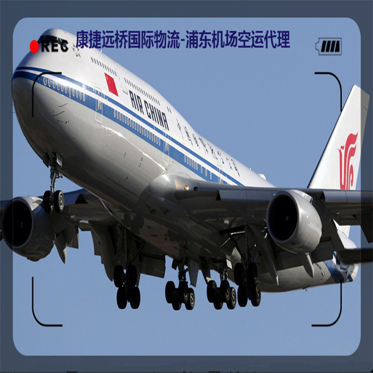 上海专业从事德国空运服务 PVG-FRA