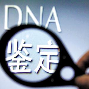 上海亲子鉴定机构有哪些、DNA亲子鉴定中心查询