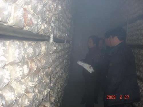 江西赣州蘑菇房喷雾降温加湿设备 正雄科技供应 环保节能