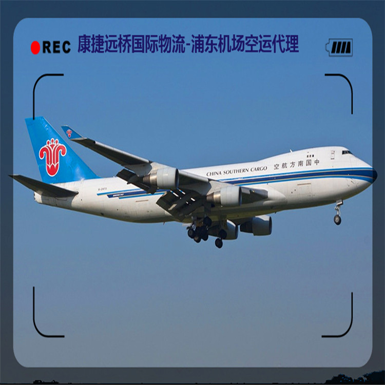 专业从事法国空运费用 上海空运进口代理