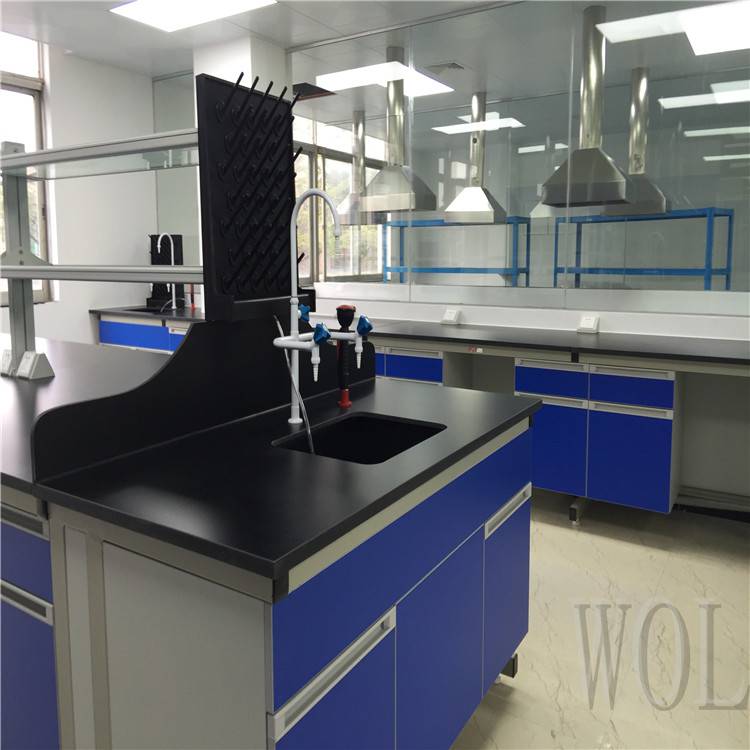 检验室实验室设备定制 实验室家具定制 实验台 边台定制