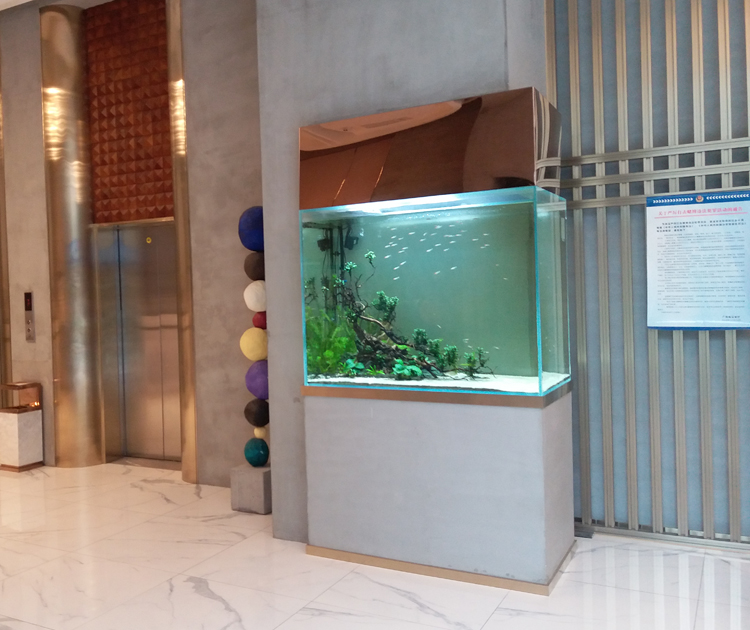 广州佛山上门清洗鱼缸水族箱维护可包年包月长期服务
