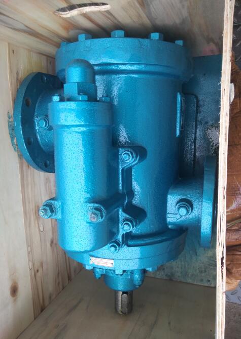 3GR85×2W2水泥设备螺杆泵整机