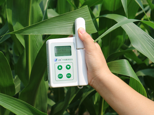 叶绿素仪测定氮肥的原理及步骤