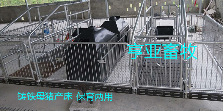 猪用双体产床单体产床热镀锌2.5国标管焊接亨特厂家发货