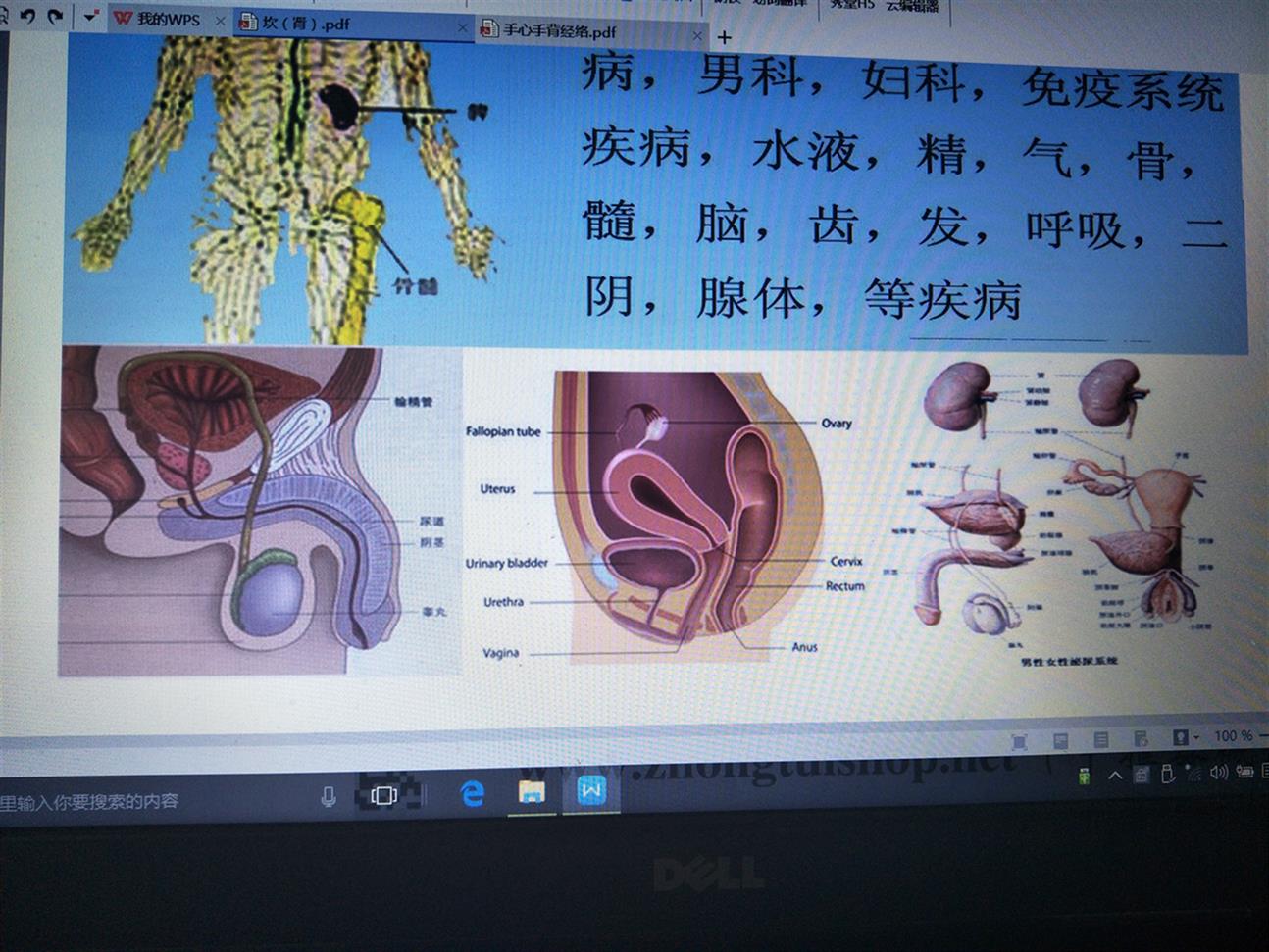 西安邱飞虎闪电类疼痛病治疗类疼痛病效果如何