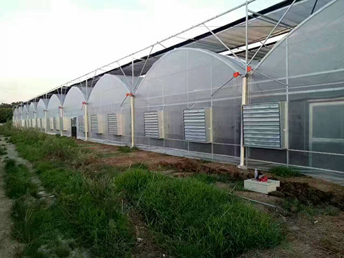 农业温室大棚专业生产订做昊泰机械
