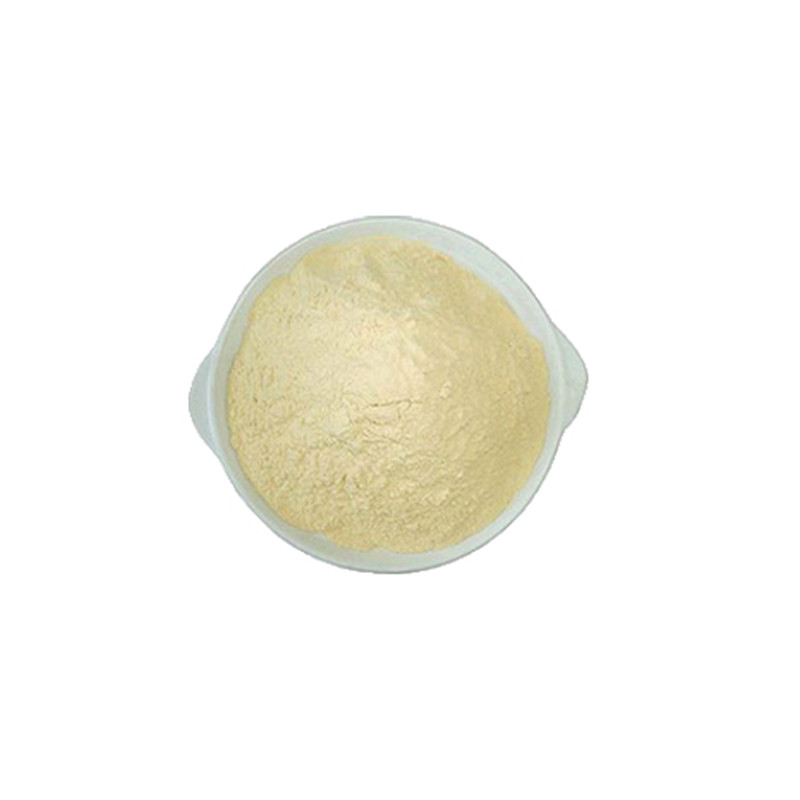 大豆卵磷脂 卵磷脂 食品级 粉末磷脂