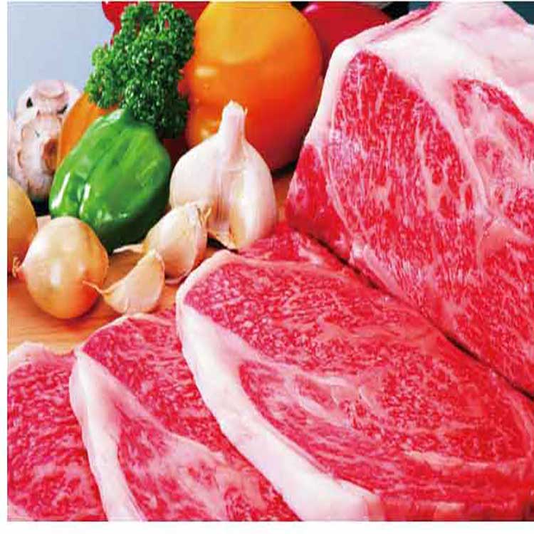 巴西牛肉进口报关清关代理 牛肉进口清关