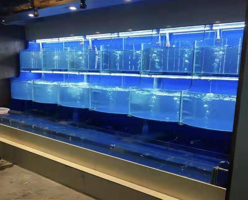 广州专业定做海鲜制冷鱼池,广州哪里制作海鲜玻璃鱼缸