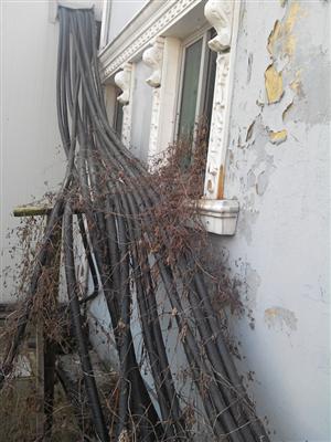 嘉兴电缆线回收 嘉兴高压电缆线回收拆除
