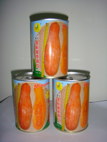 南瓜种子：金航蜜本南瓜种子A-001罐装
