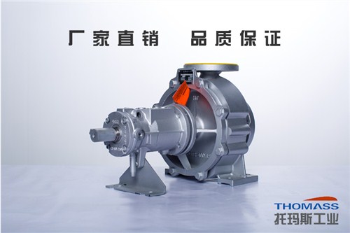 江西德国进口热油泵热媒泵阀实力品牌 惠州托玛斯工业科技供应