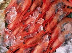 阿根廷冷冻虾进口关税能享受优惠吗