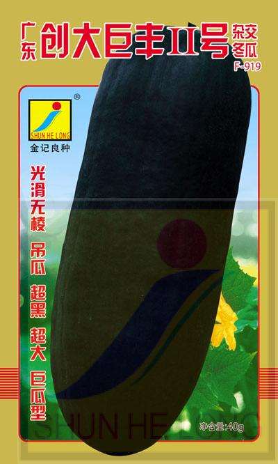 冬瓜种子：广东创大巨丰II号F-919