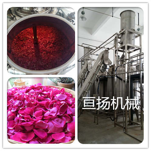 多功能植物精油纯露提取设备玫瑰精油提取设备