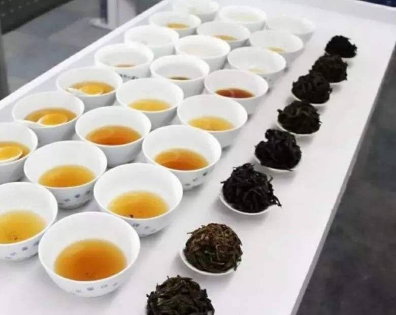新疆推荐茶艺在线报名 天山区田雨茶道