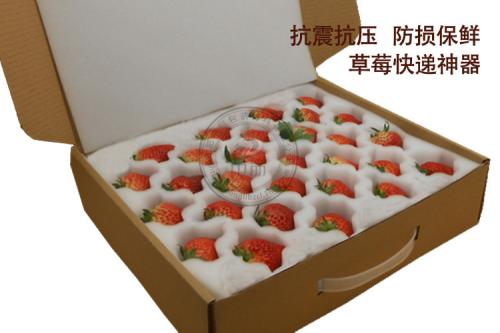 上海包装材料 诚信服务 昆山博众包装材料供应