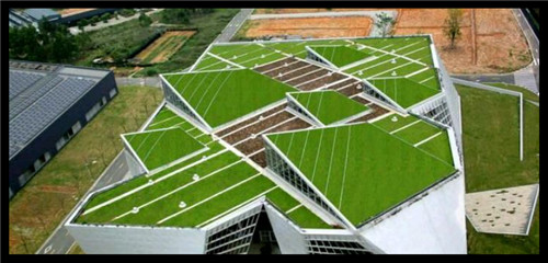 海南州草坪网厂家供货人造草坪地毯绿色草坪网