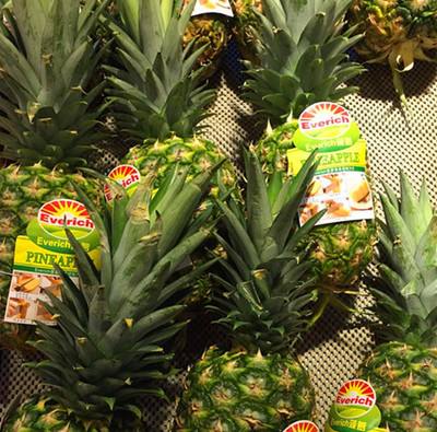 上海进口马来西亚菠萝报关流程