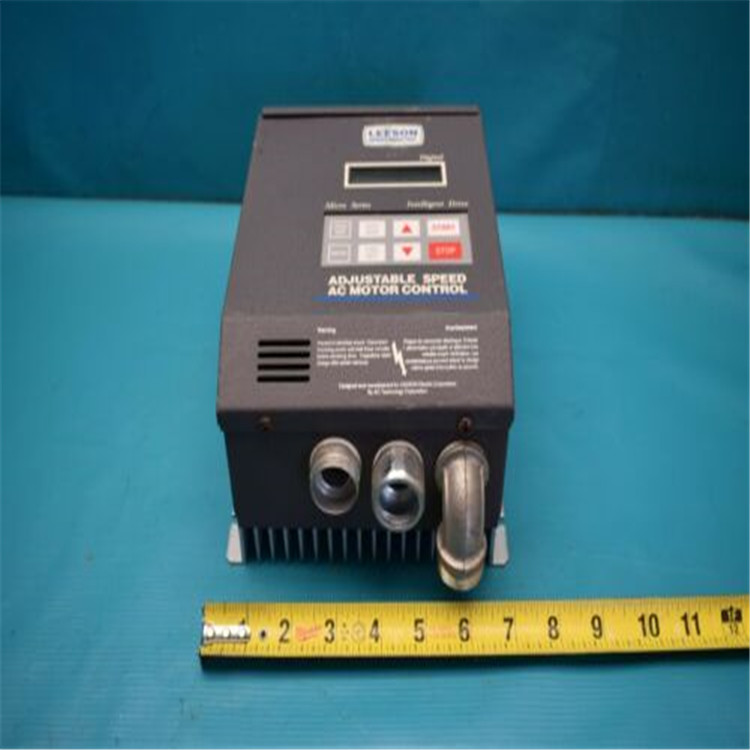 LEESON ELECTRIC调速器174311.00专业代理