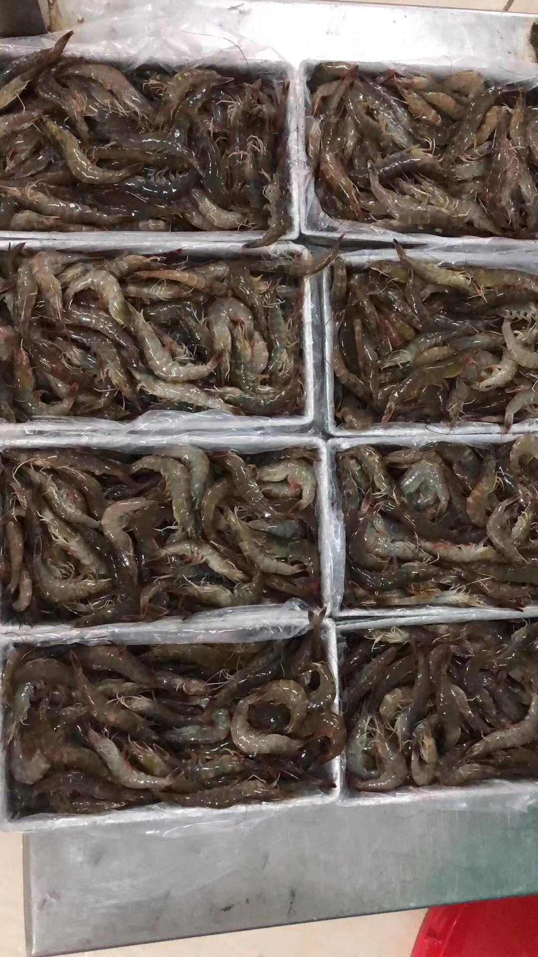 南美大虾6盒装40-50规格