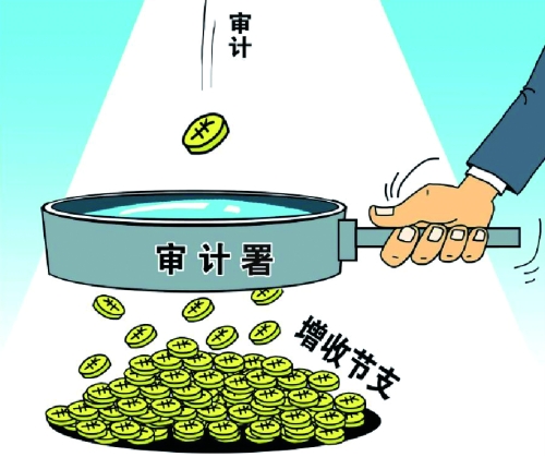 沧州审计报告对股东的要求