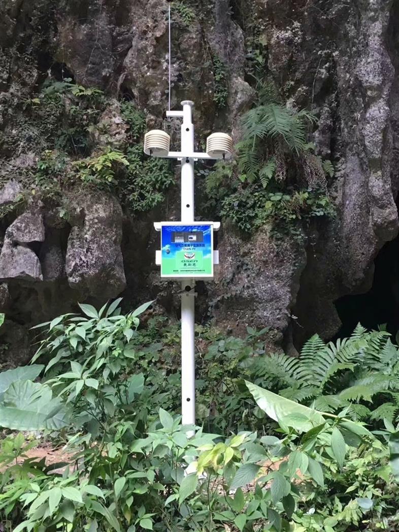 深圳负氧离子监测系统加工