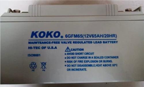 美国KOKO蓄电池GFM2500行业正品