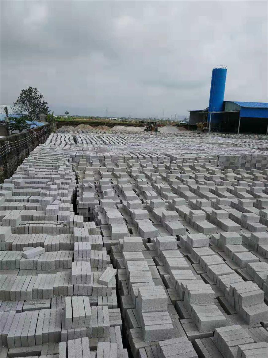 珠海市斗门区水泥砖规格 灰沙砖 免费咨询