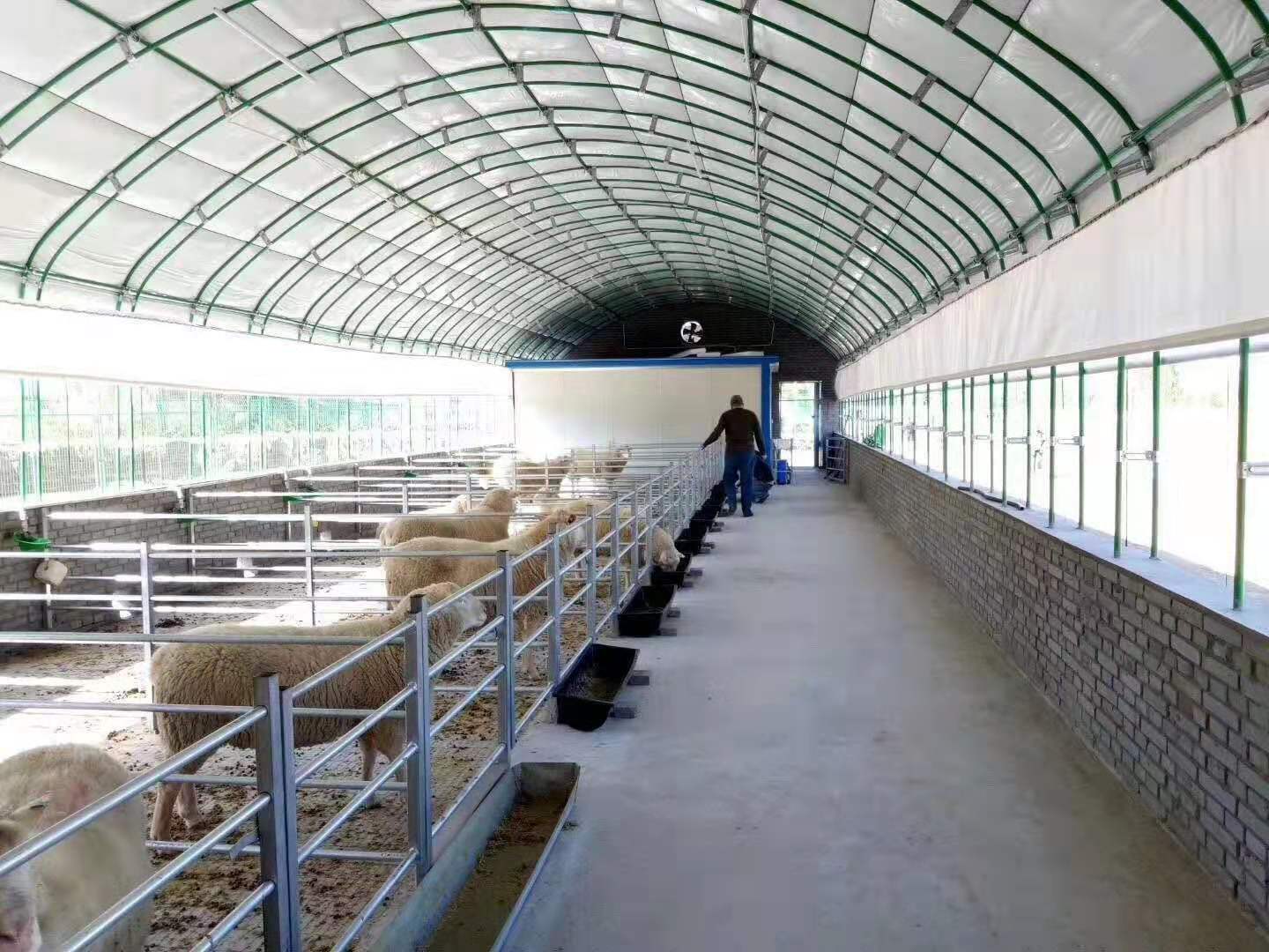 畜牧养殖卷帘布定做 防水防风防雨猪场卷帘加工
