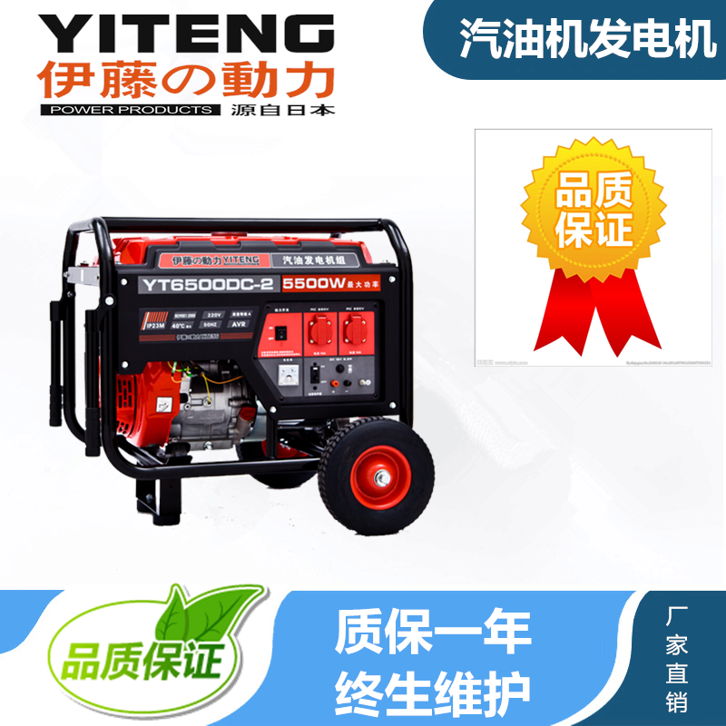 便携式汽油发电机5KW价格YT6500DC-2