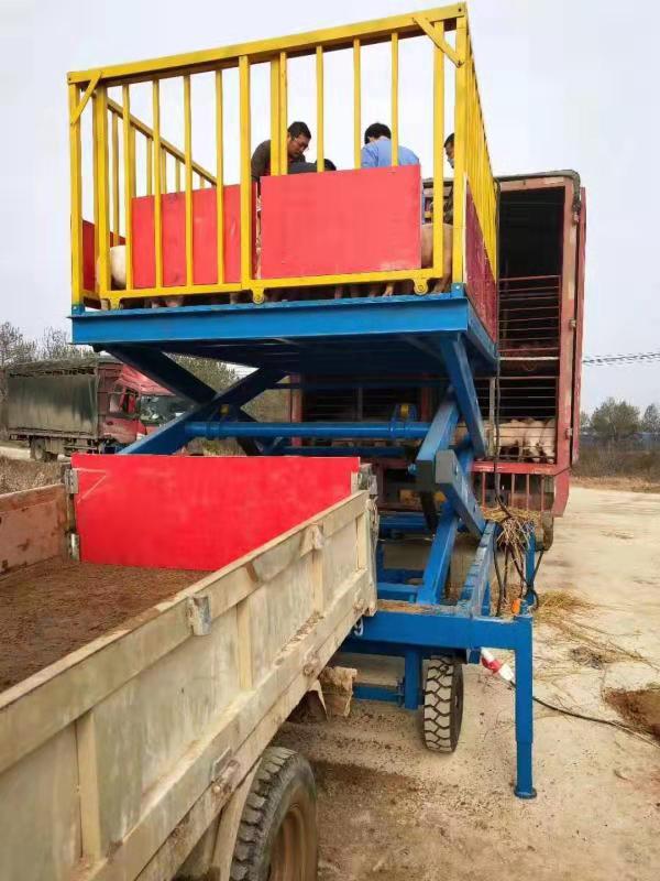 冠县东环定制生产制造导轨式液压货梯升降机-山东艾诺