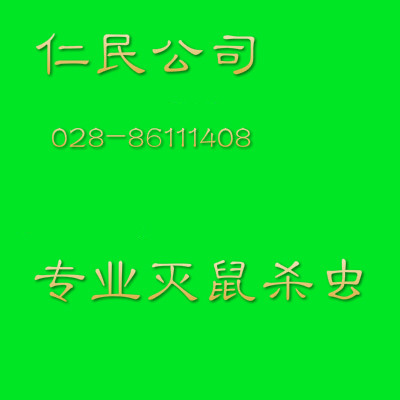 溫江家庭捕鼠 消殺老鼠